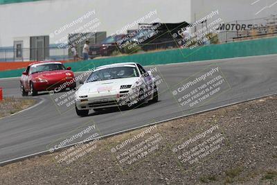 media/May-03-2025-Lucky Dog Racing (Sat) [[206de64b9d]]/Turn 4 B (1150am-130pm)/